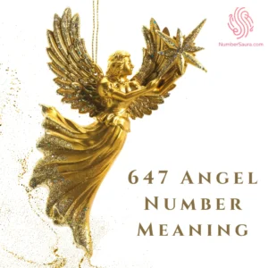 647 Angel Number Meaning